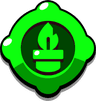 REPOT